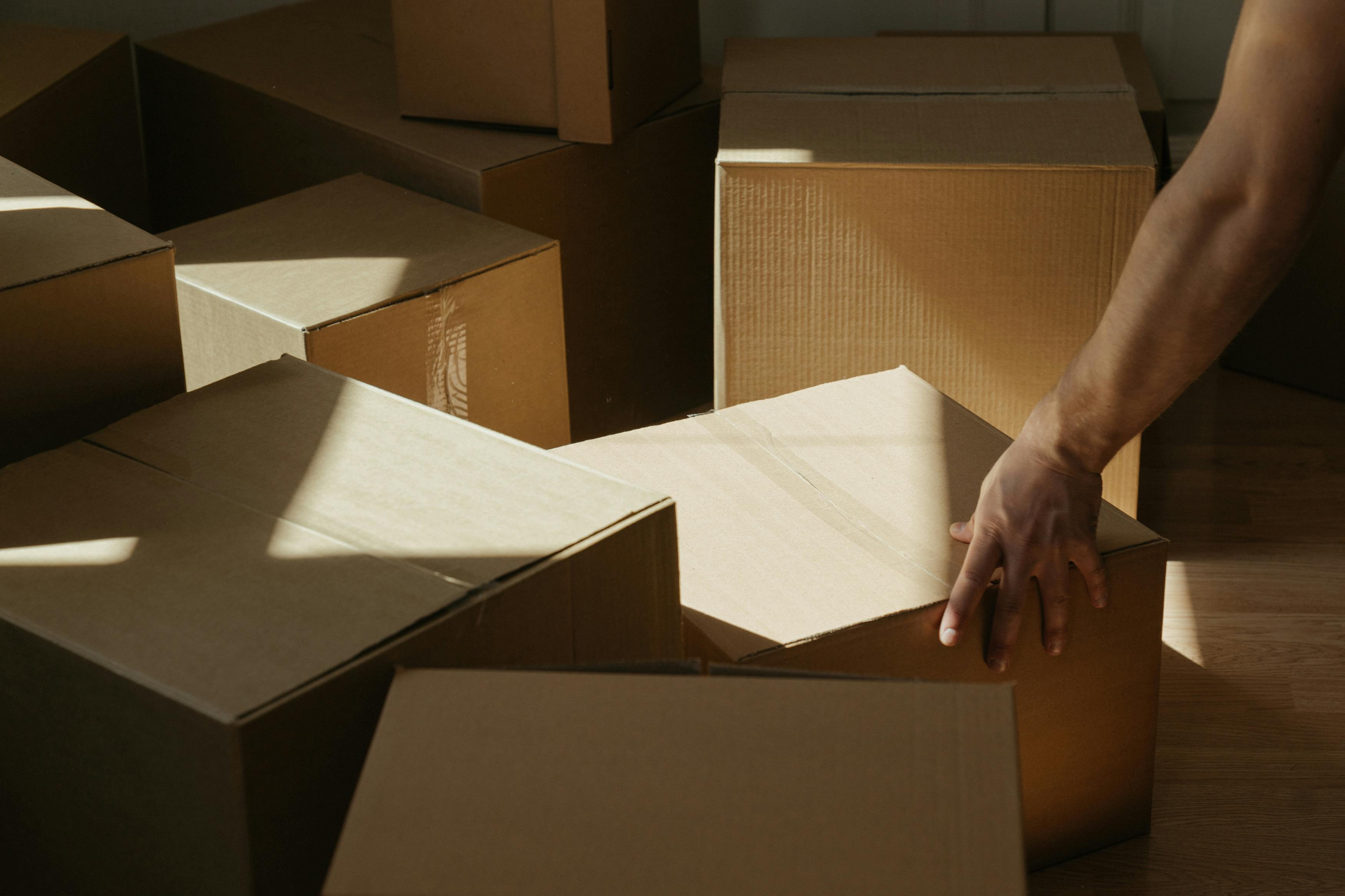 Professional crew handling moving boxes